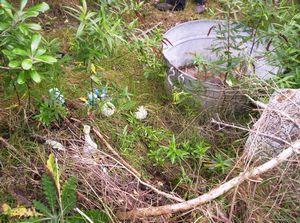 Image of waihekejul06bebath.jpg