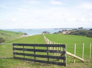 Image of waihekejul06bqchurchbay.jpg