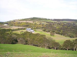 Image of waihekejul06brchurchbay.jpg