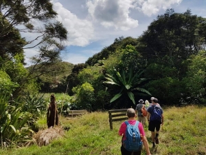 Image of waihekemar201e.jpg
