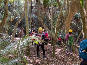 Image of waihekemar201n.jpg