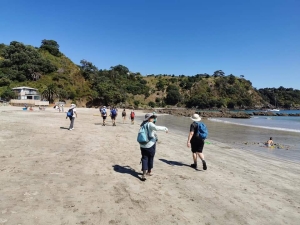 Image of waihekemar202e.jpg