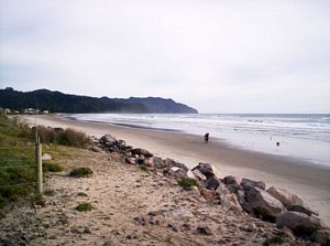 Image of waihibeachmar06apbeach.jpg