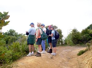 Image of waihibeachmar06awtrack.jpg