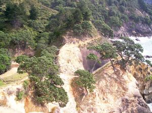 Image of waihibeachmar06bkboatbay.jpg