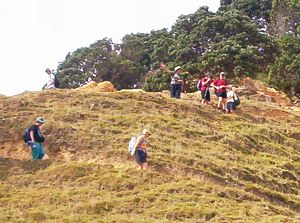 Image of waihibeachmar06bmboatbay.jpg