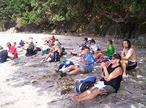 Image of waihibeachmar06bulunch.jpg