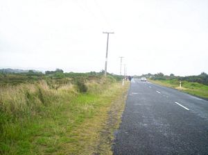 Image of waihibeachmar06csroadtobowentown.jpg