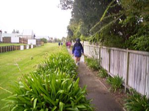 Image of waihibeachmar06cxwalkway.jpg