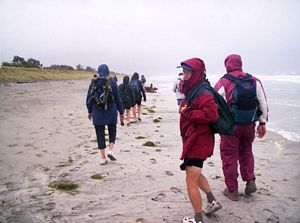 Image of waihibeachmar06djbeach.jpg