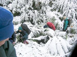 Image of waikareiti05snowbushpeople.jpg