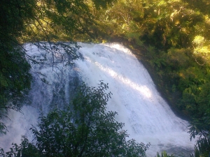 Image of waikaremoana14waterfalls (2).jpg
