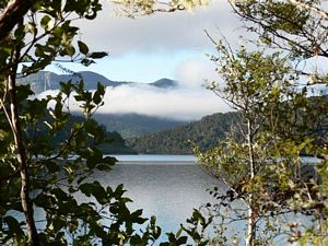 Image of waikaremoanaapr06flake.jpg