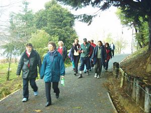 Image of waikatoabtcjul04hakanoapath.jpg