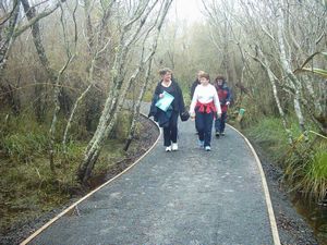 Image of waikatoabtcjul04hakanoawetlandbush.jpg