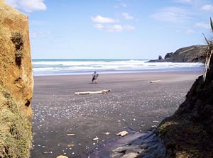 Image of waikoreafeb07dbeach.jpg