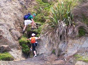 Image of waikoreafeb07ebscramble.jpg