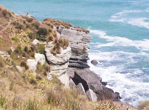 Image of waikoreafeb07ecpancakes.jpg