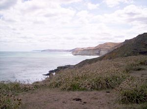 Image of waikoreafeb07eeview.jpg