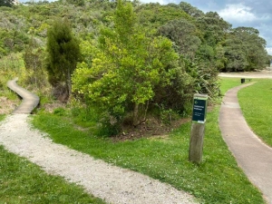 Image of waikowhaidec19l.jpg