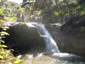 Image of wainamu16c.jpg