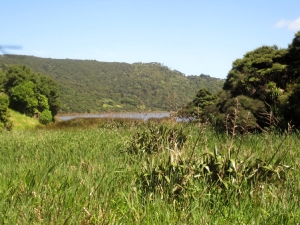 Image of wainamu16f.jpg