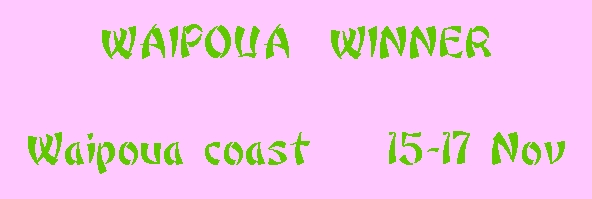 Image of waipouawinner.jpg
