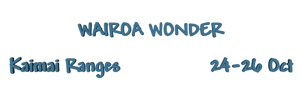 Image of wairoawonderoct15.gif