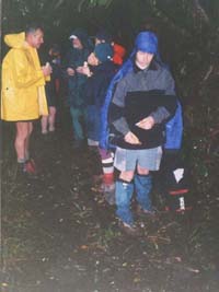 Image of wairongomailunchq.jpg