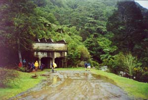 Image of wairongomaistartq.jpg