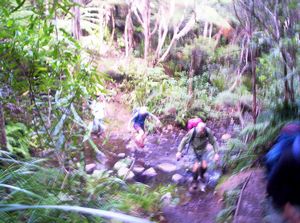 Image of waitakerejune05odlinssecondstream.jpg