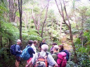 Image of waitakerejune05odlinssecondstream3.jpg