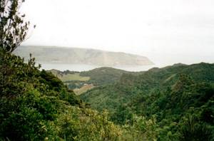 Image of waitakeremar03fletchertrackview.jpg