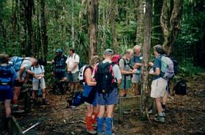 Image of waitakeremar03karamaturaforks.jpg