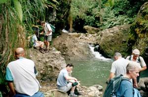 Image of waitakeremar03lunch.jpg