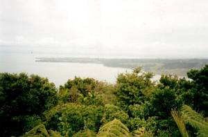 Image of waitakeremar03mtdonaldmcleangrahamsbeach.jpg