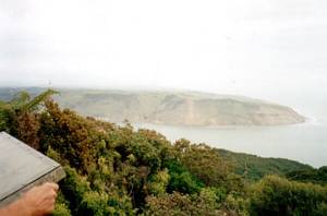 Image of waitakeremar03mtdonaldmcleanmanukauheads.jpg