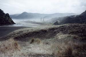 Image of waitakerepihahazeq.jpg