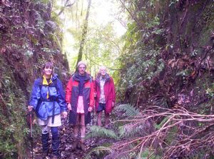 Image of waitakerereservoirs05cutting.jpg