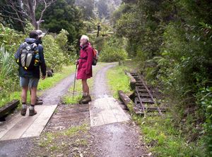 Image of waitakerereservoirs05huiadamroadtramline.jpg