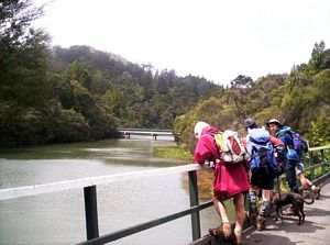 Image of waitakerereservoirs05lowerhuiareservoir.jpg