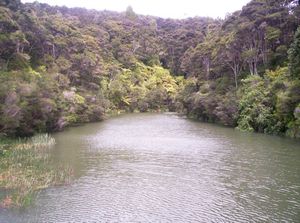 Image of waitakerereservoirs05lowerhuiareservoir2.jpg