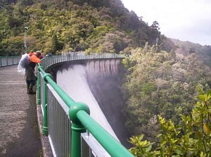 Image of waitakerereservoirs05nihotupudam2.jpg