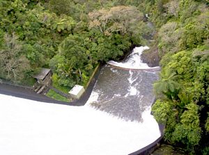 Image of waitakerereservoirs05nihotupudam4.jpg