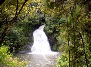 Image of waitakerereservoirs05nihotupufalls.jpg