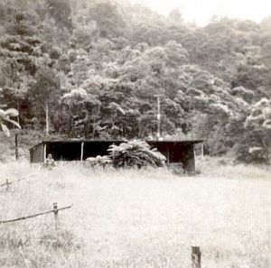 Image of waitakerereservoirs05scout1963boysbrigadehut.jpg