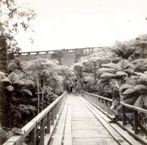 Image of waitakerereservoirs05scout1963huiadam.jpg
