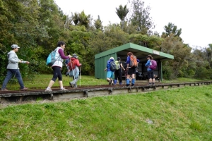 Image of waitakeresep14(1).jpg