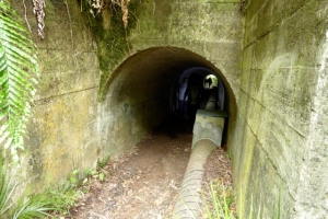 Image of waitakeresep14(3).jpg