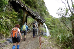 Image of waitakeresep14(8).jpg